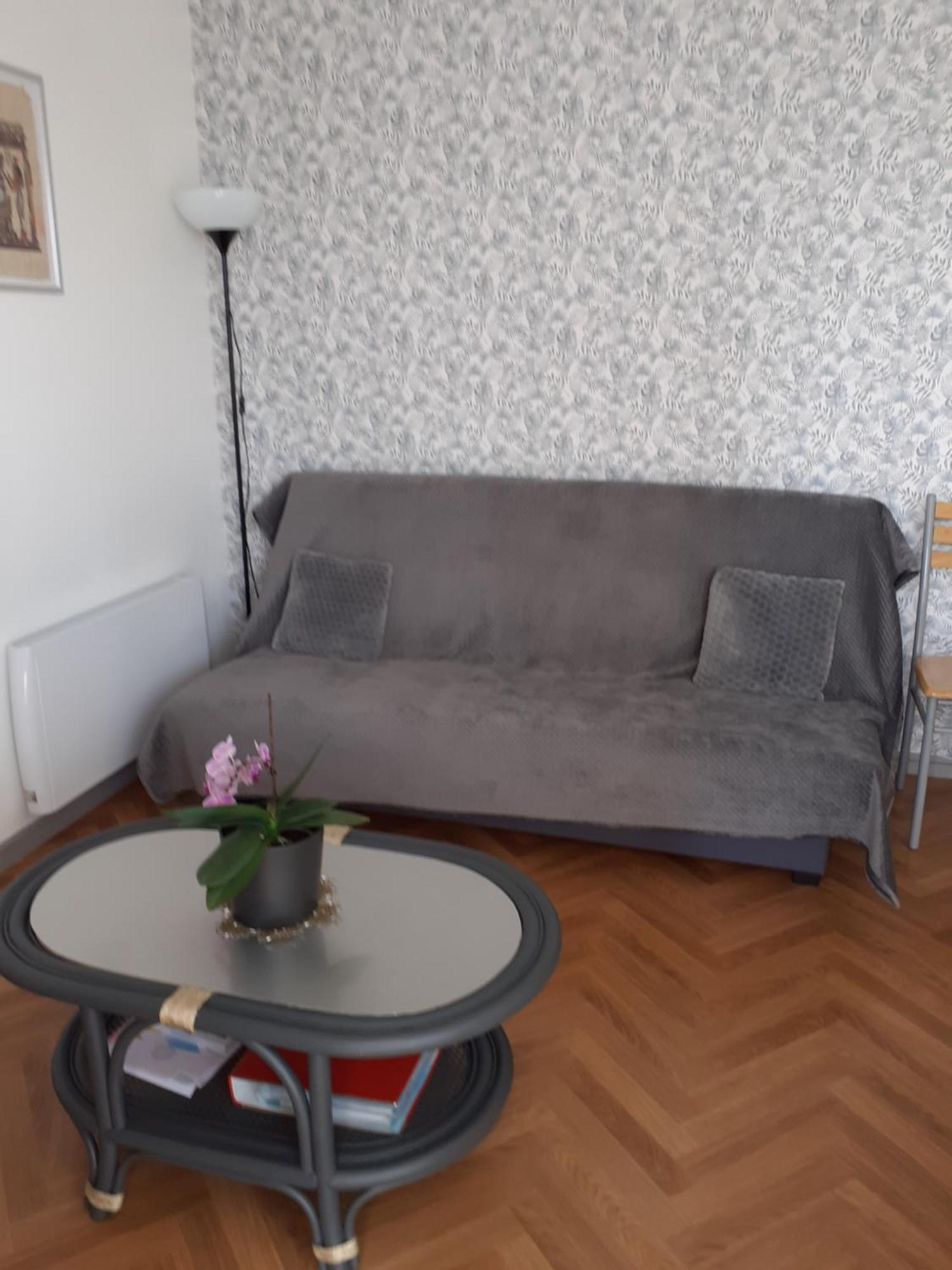 Appartement Pour Famille Amis Ou Colegue โชเลต์ ภายนอก รูปภาพ